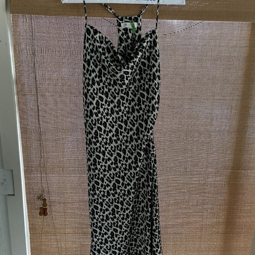 She + Sky leopard print silk dress